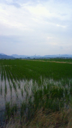 e0168583_22124699.jpg