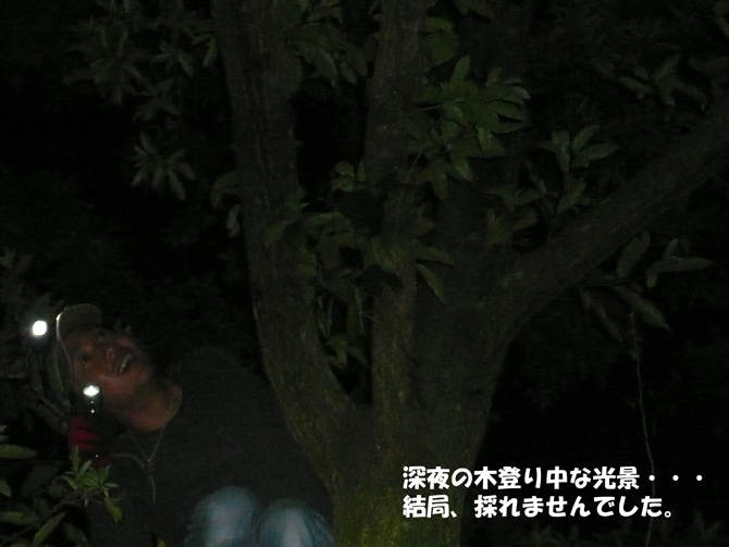 f0183484_1251473.jpg