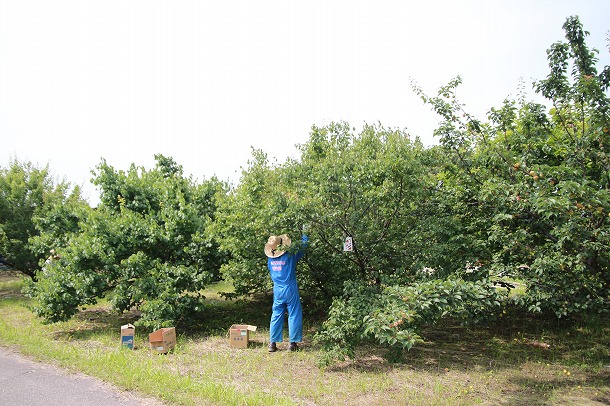 f0238184_2124568.jpg