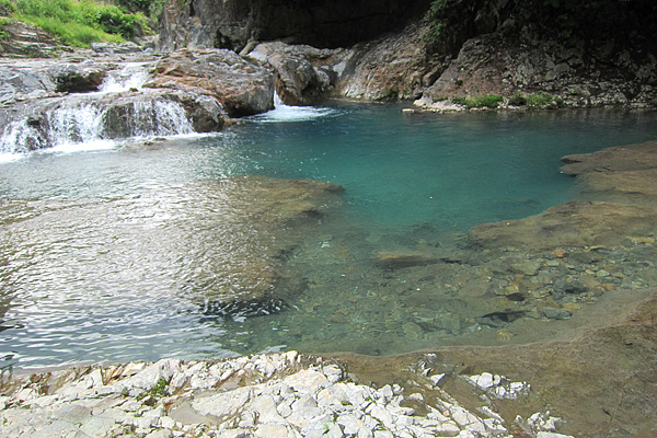 b0169489_13353626.jpg