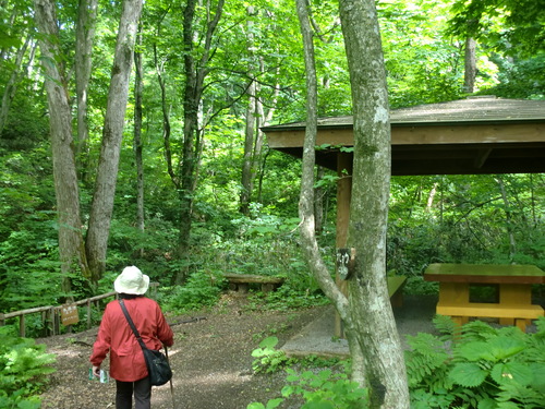 f0230992_10383254.jpg