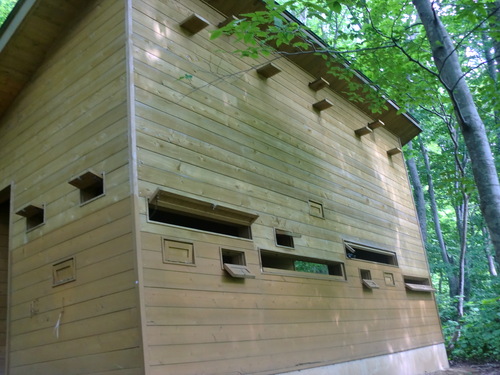 f0230992_10561599.jpg