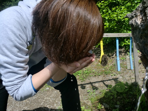 f0230992_11142579.jpg