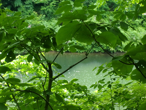 f0230992_119627.jpg