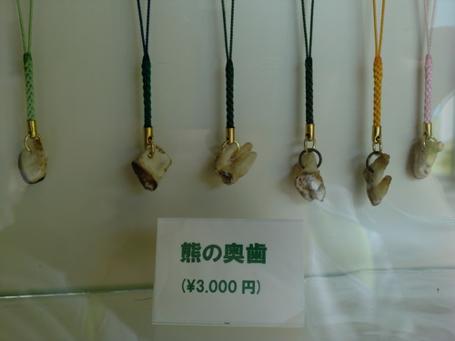 f0230992_1205588.jpg