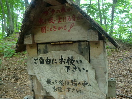 f0230992_12535251.jpg