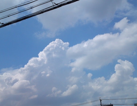 a0031000_1853524.jpg