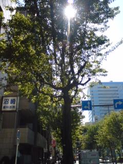 c0202101_081785.jpg