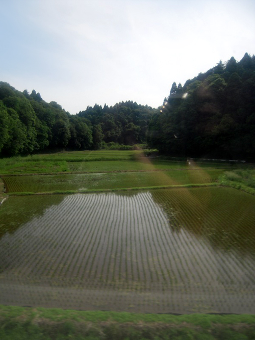 a0060003_8172039.jpg
