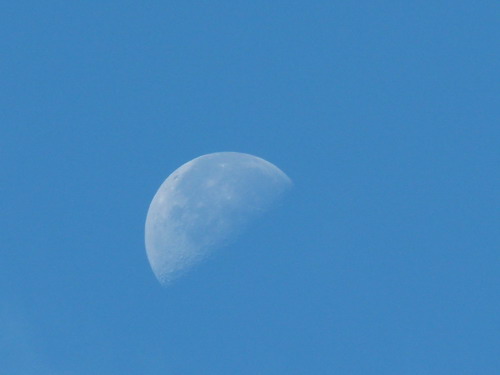 b0052108_9313268.jpg