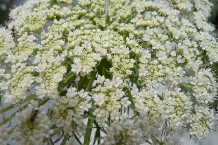 f0221708_18201434.jpg