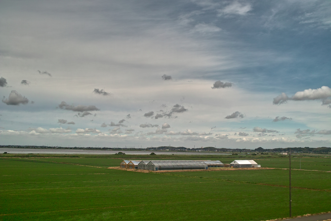 d0104210_4473921.jpg