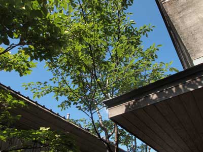c0103119_14185663.jpg