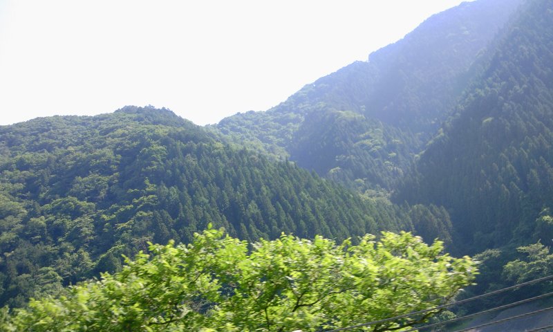 b0206423_143955.jpg