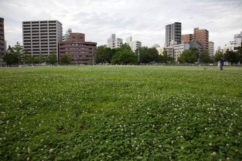 c0064025_22454517.jpg