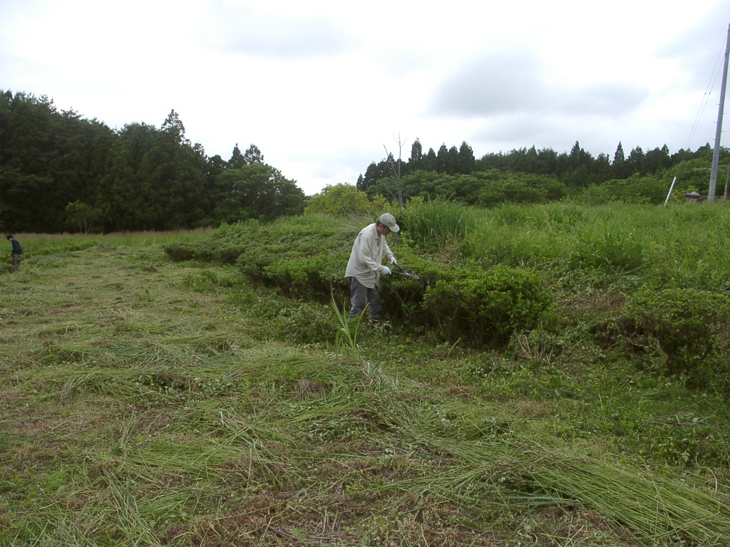 d0007735_8124989.jpg