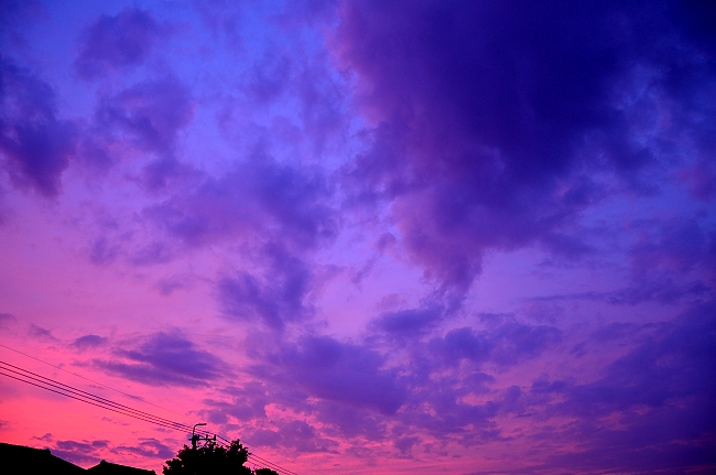 e0055138_1114489.jpg