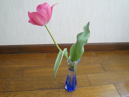 b0094239_10344754.jpg