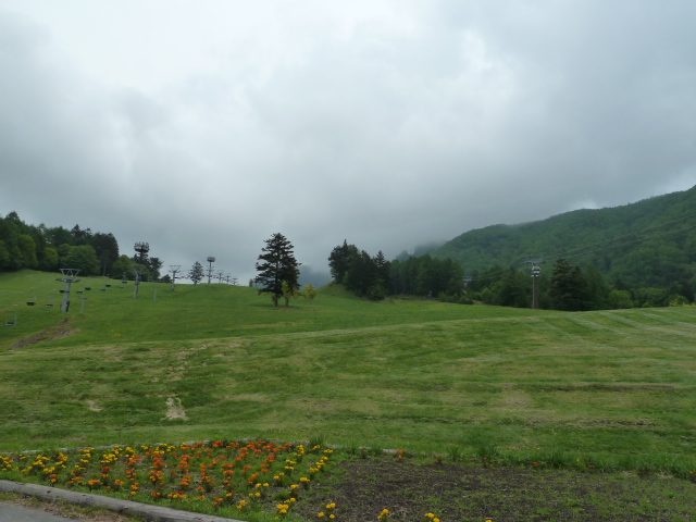 b0190242_016597.jpg