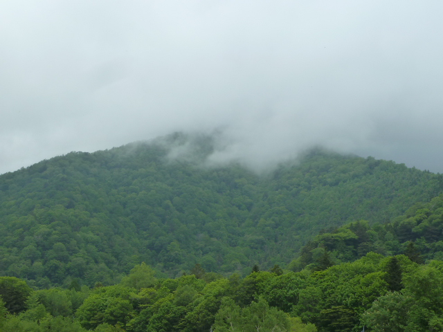 b0190242_0522368.jpg