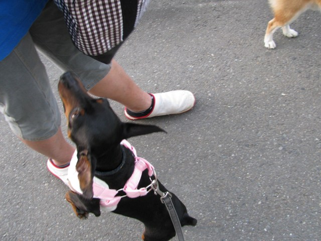 e0150843_23552566.jpg