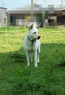 f0195543_2238060.jpg