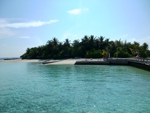 f0190653_1512317.jpg
