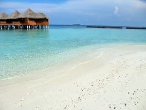f0190653_151549.jpg