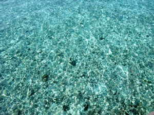 f0190653_1561545.jpg