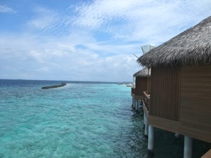 f0190653_1562640.jpg