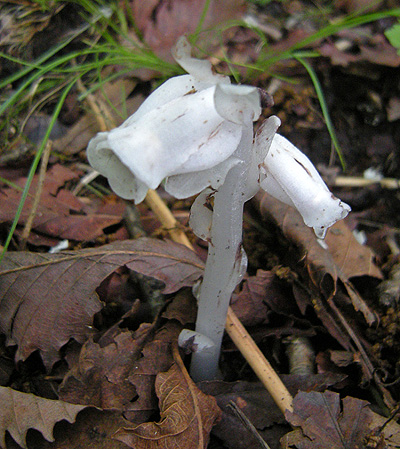 a0001354_20273749.jpg