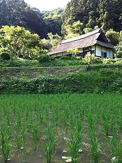 a0157160_22264248.jpg
