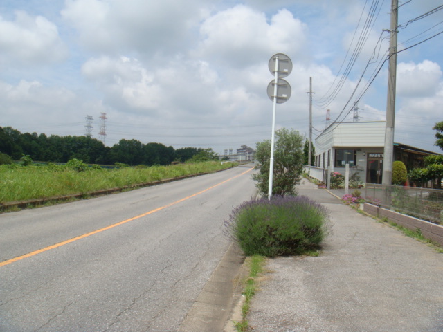 b0061261_2105729.jpg