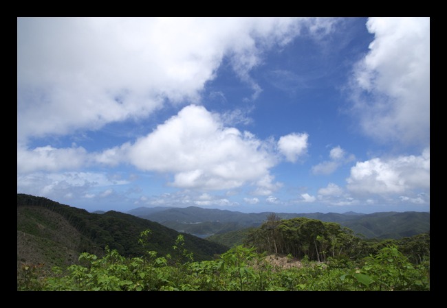 b0062363_2251283.jpg