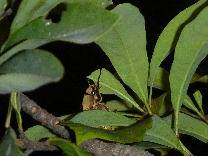c0142963_23371739.jpg