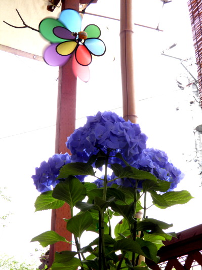c0122670_8412248.jpg