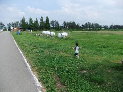 d0010875_21371922.jpg
