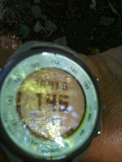 c0145582_11482636.jpg