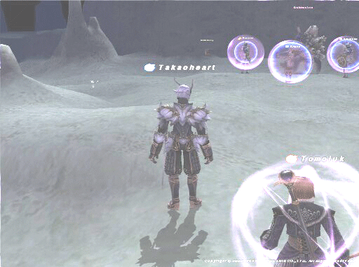 c0037384_9481281.gif
