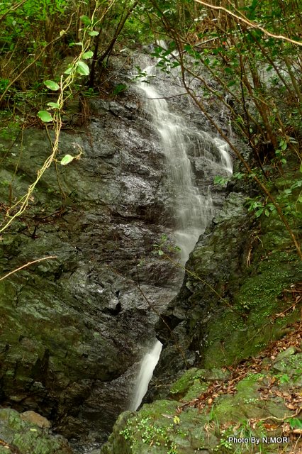 b0115085_8254580.jpg