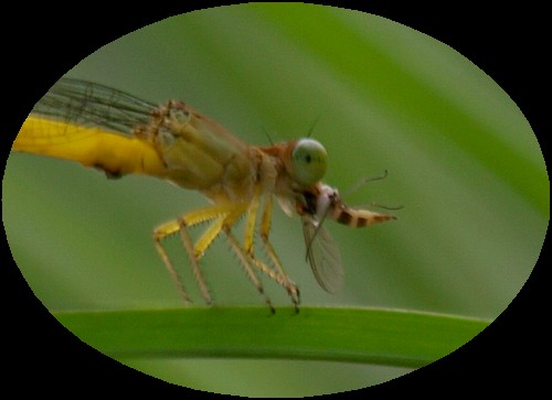 b0108186_22554239.jpg