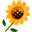 b0104592_16575523.gif