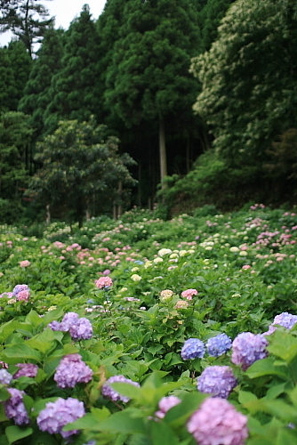 c0129498_23371186.jpg
