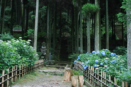 c0129498_23373539.jpg