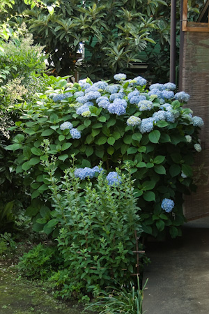 f0239100_9475972.jpg