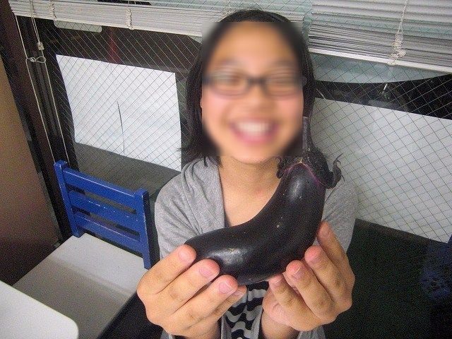 a0060806_025980.jpg