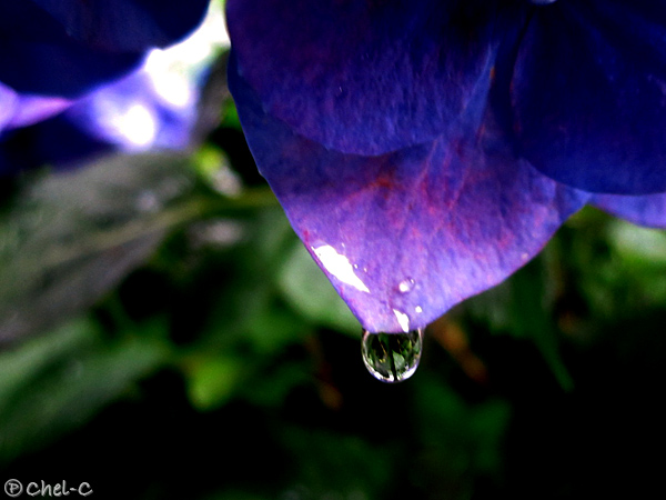 a0154706_2013734.jpg