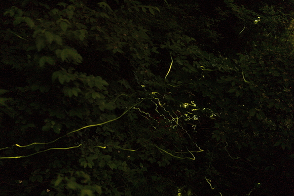 c0134413_23194119.jpg