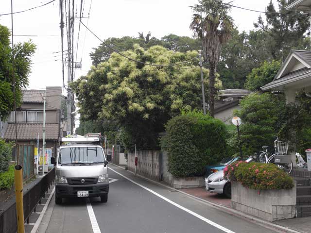 e0049318_16552592.jpg