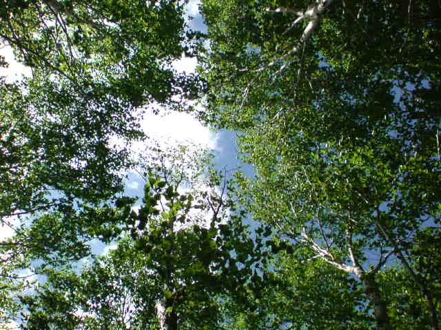 c0213619_23521410.jpg